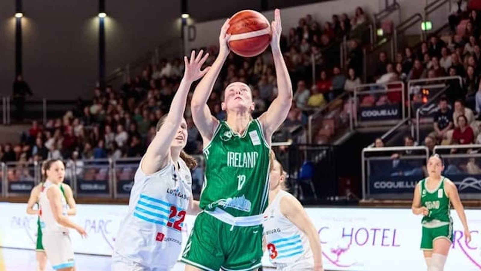 Irlandia przegrywa z Luksemburgiem w kwalifikacjach do EuroBasket 2027